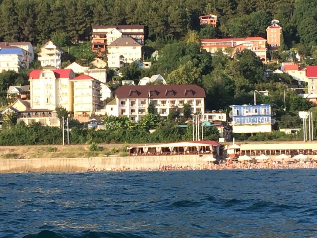 Фламинго фото 4