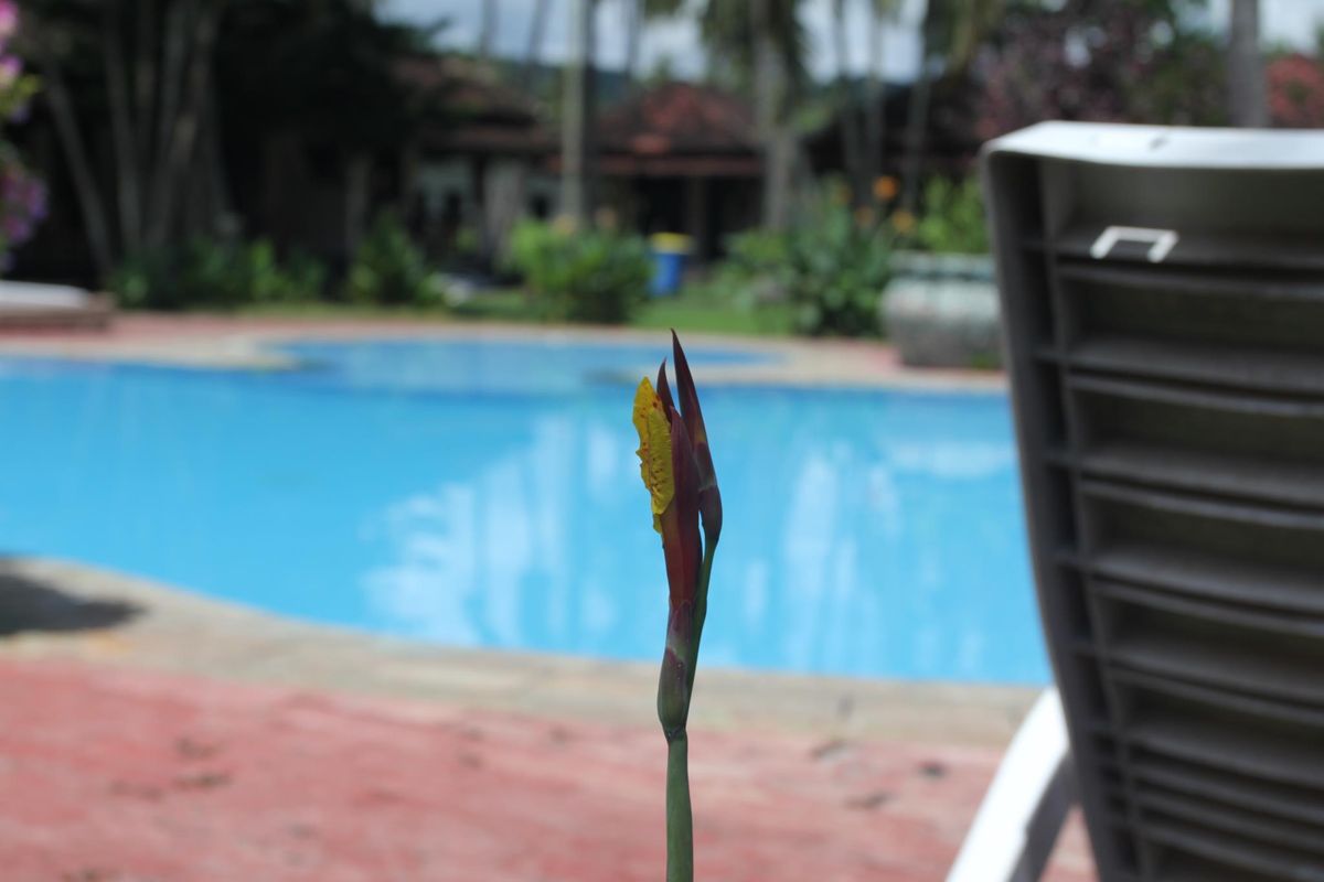 Kuta Indah Hotel фото 7