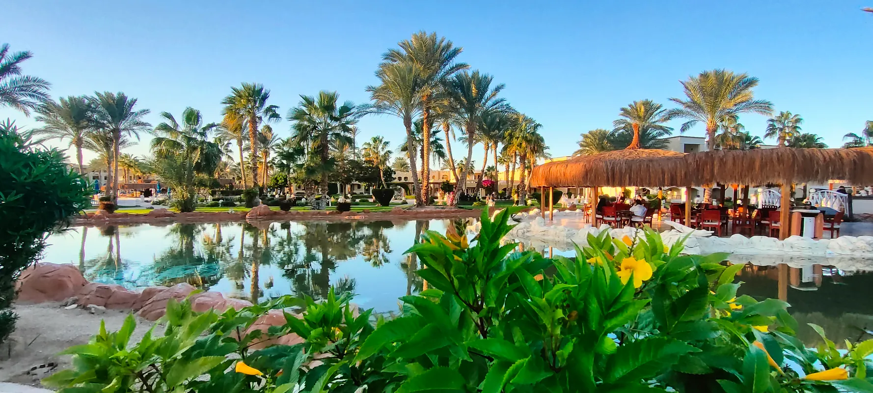 Regency Plaza Aqua Park & Spa Resort фото 74
