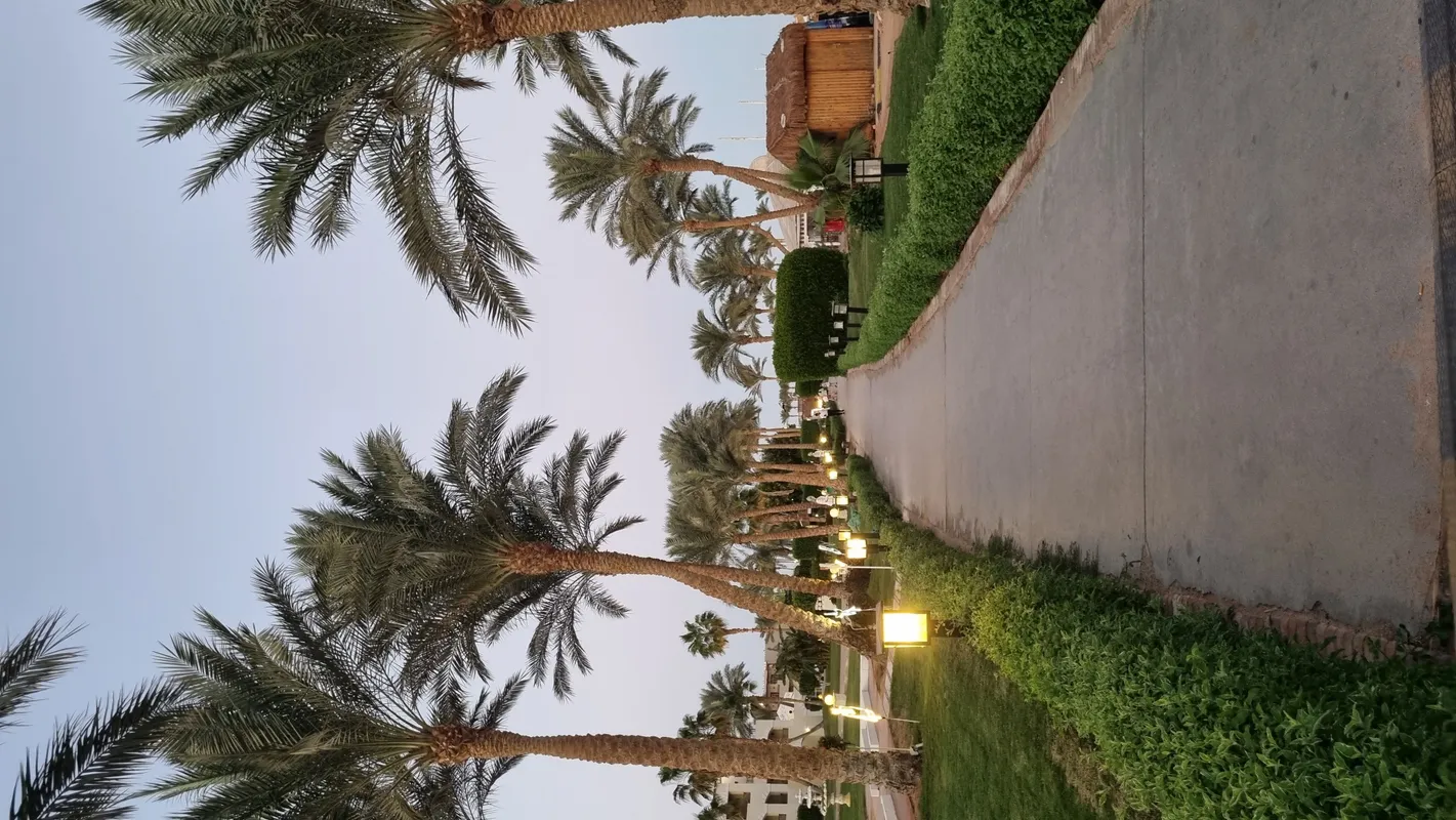 Regency Plaza Aqua Park & Spa Resort фото 68