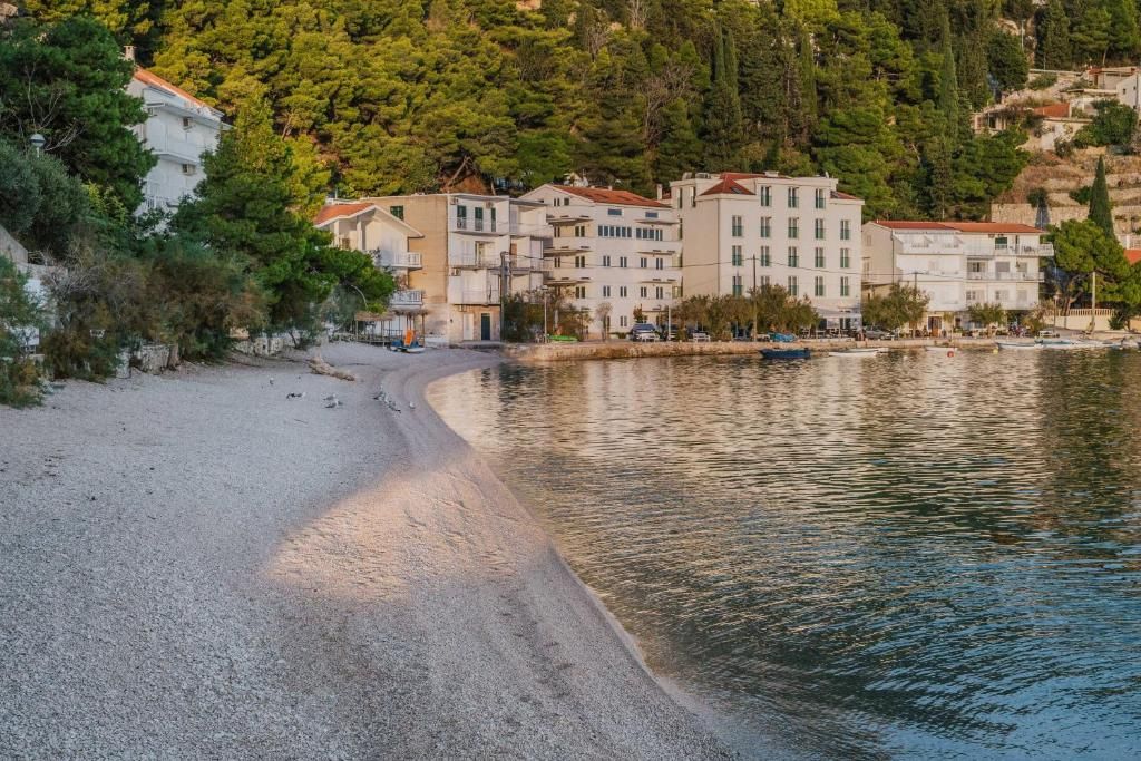Hotel Pleter фото 16