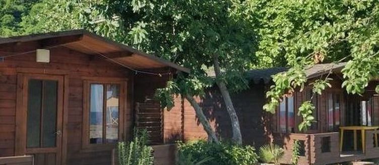 Фото отеля Три тополя