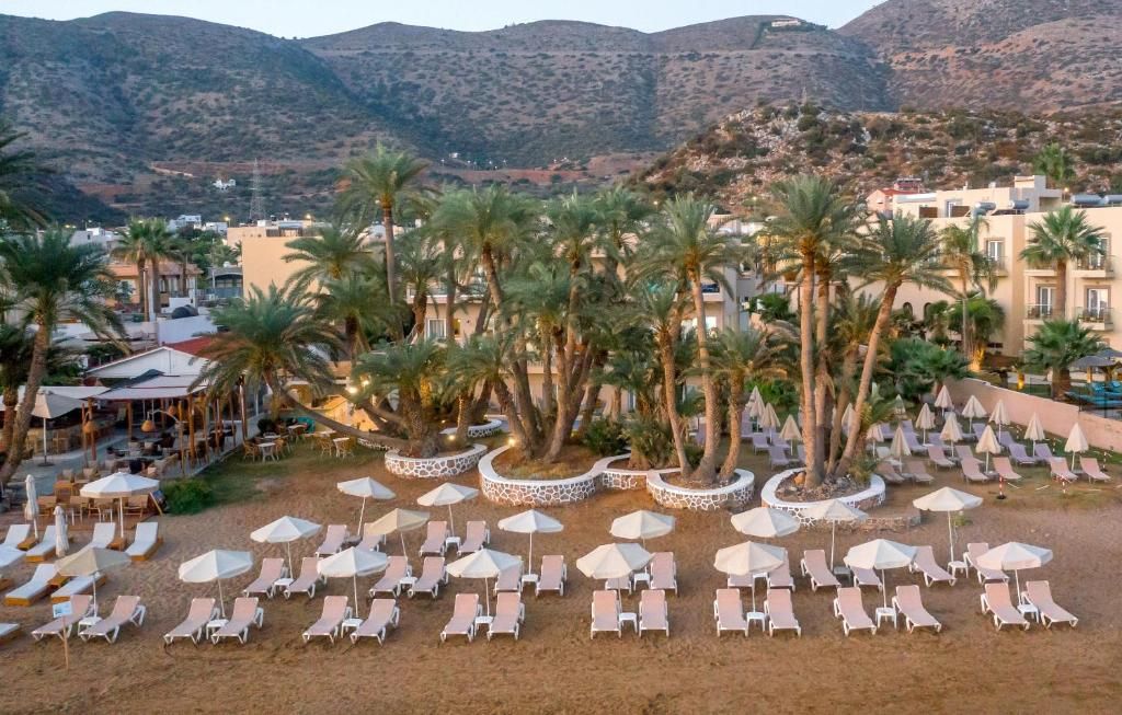 Zeus Hotels Palm Beach фото 25