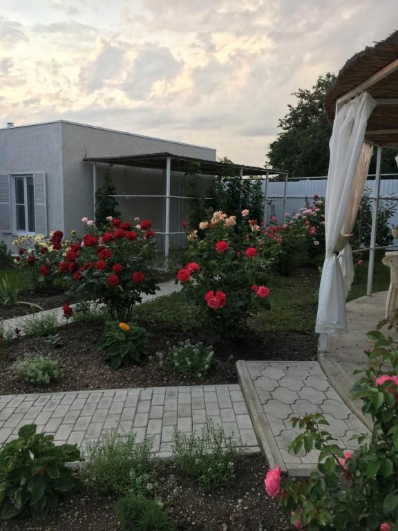 Гостевой дом «Villa Petra» фото 9