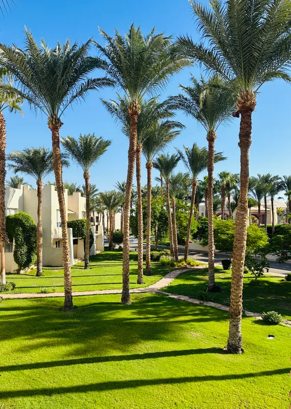 Grand Rotana Resort & Spa фото 68