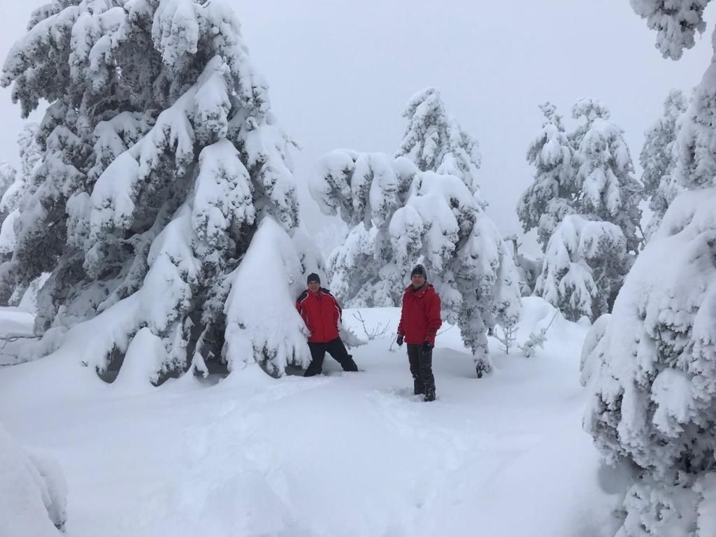 Гостиница «Туристический комплекс Ялта Круглый год» фото 21