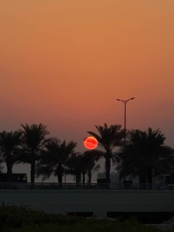 Rove Al Marjan Island фото 94