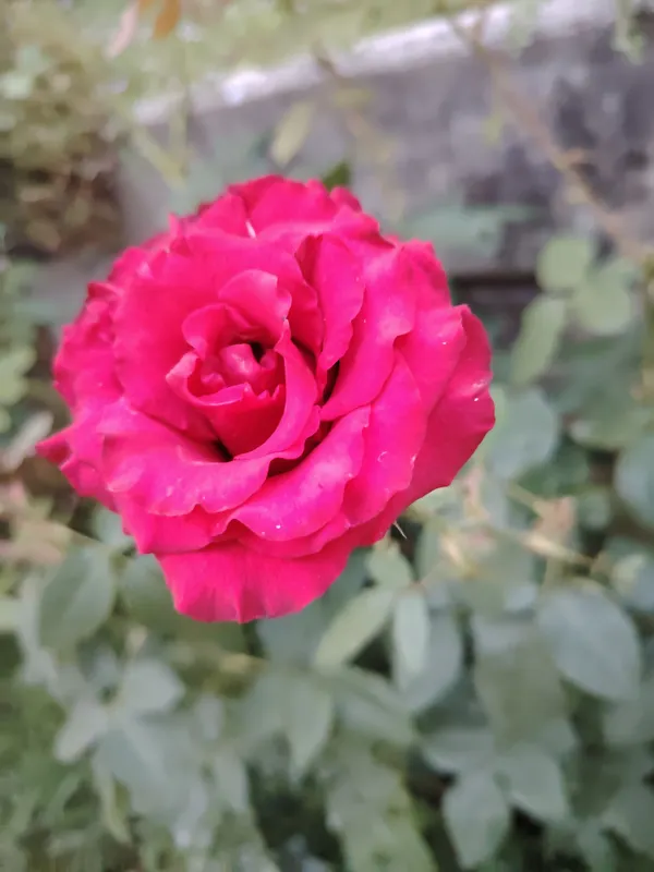 Antik Hotel фото 39