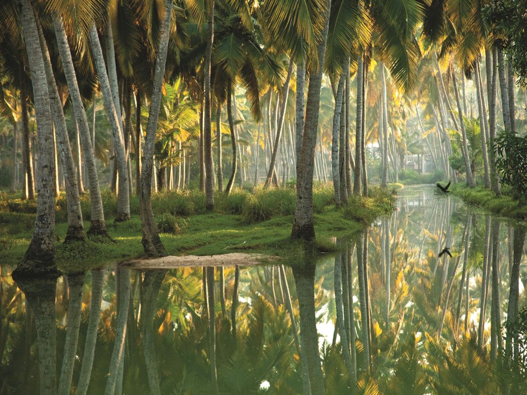Isola Di Cocco Ayurvedic Heritage Beach Resort фото 3