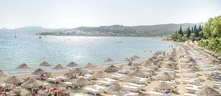 Фото отеля Hotel Ambrosia