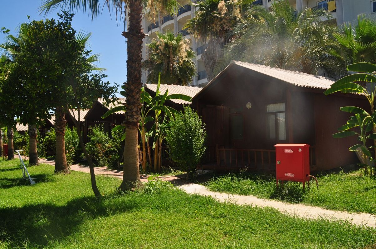 Dream Park Bungalow фото 5
