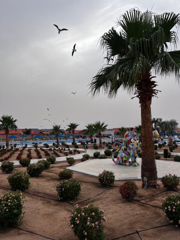 Pickalbatros Jungle Aqua Park Resort - Neverland Hurghada фото 228