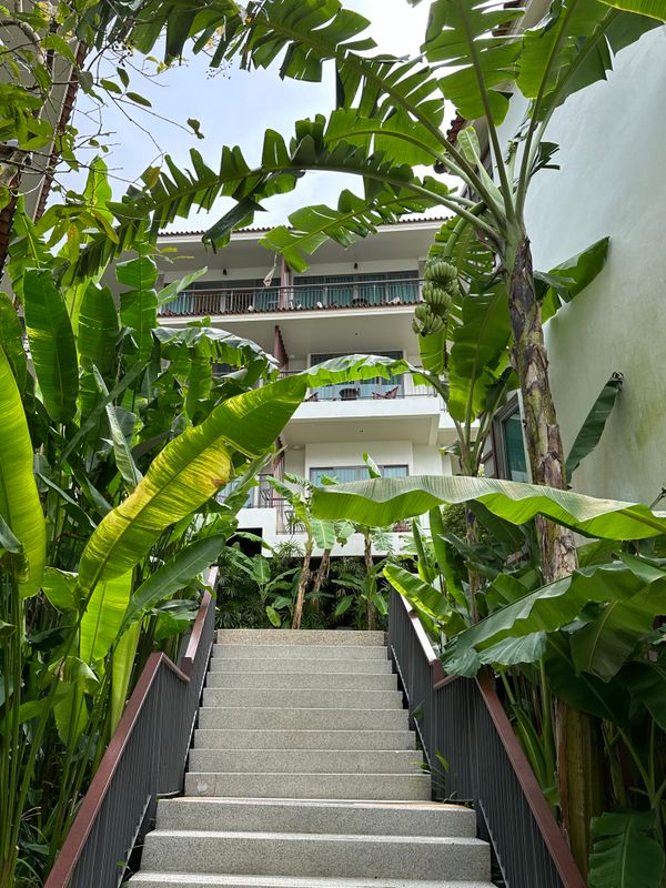 Mandarava Resort and Spa фото 53