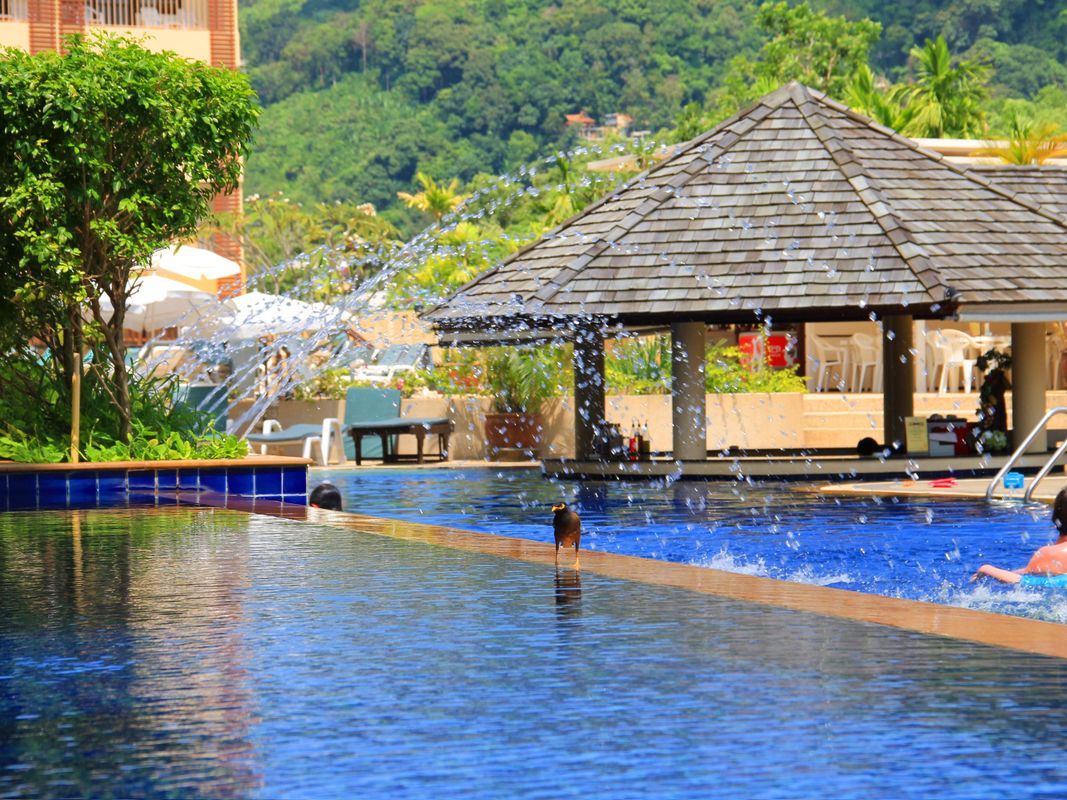 Woovo Phuket Kata фото 14