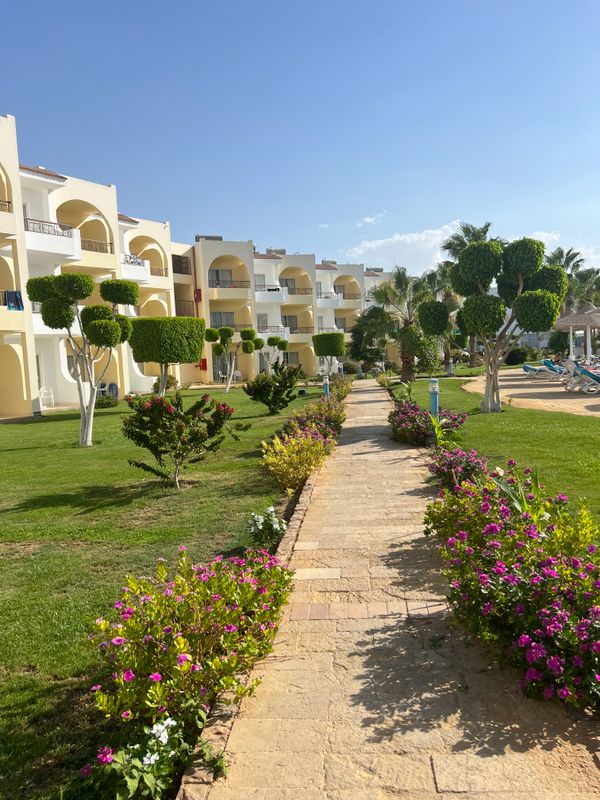 JAZ Palmariva Beach фото 79