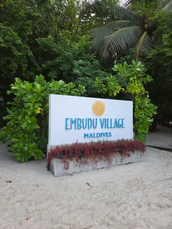 Embudu Village фото 42