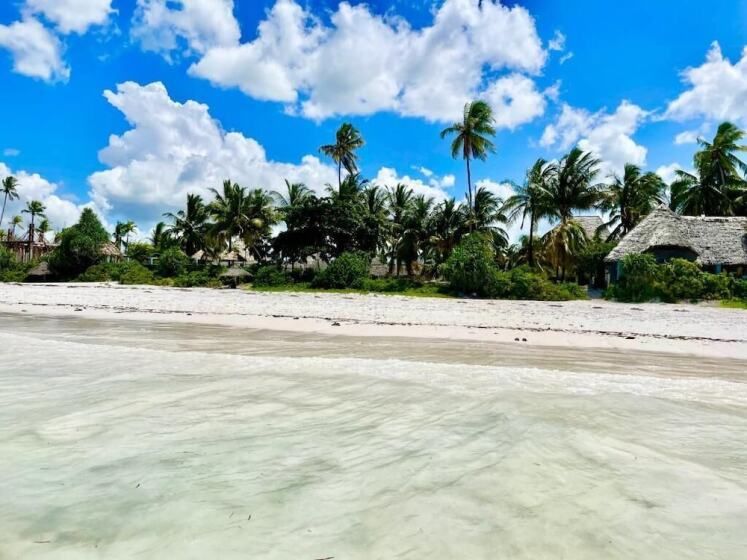 Mambo Beach Villas фото 7