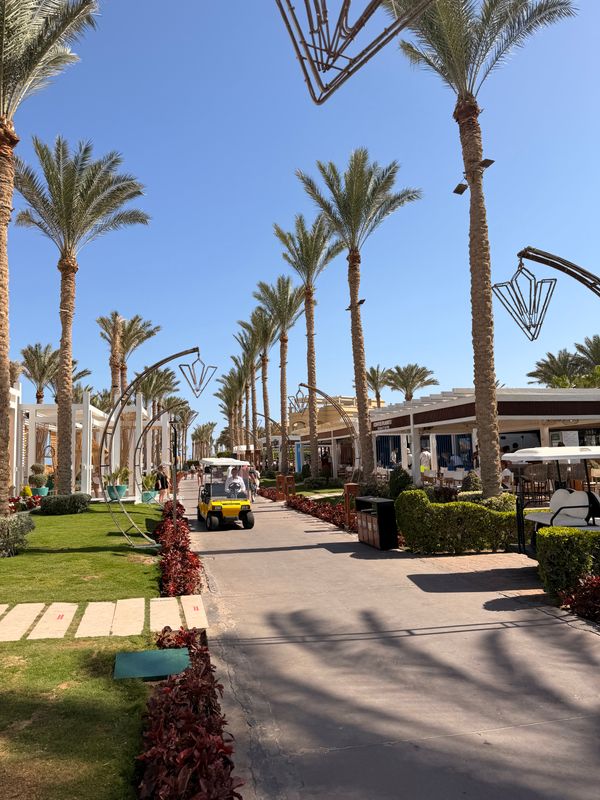 Rixos Sharm El Sheikh (Adults Only) фото 67