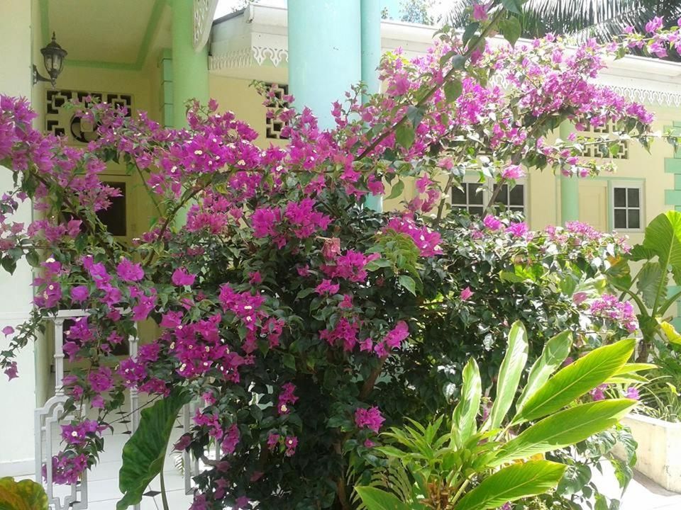 Palm Beach Hotel фото 30
