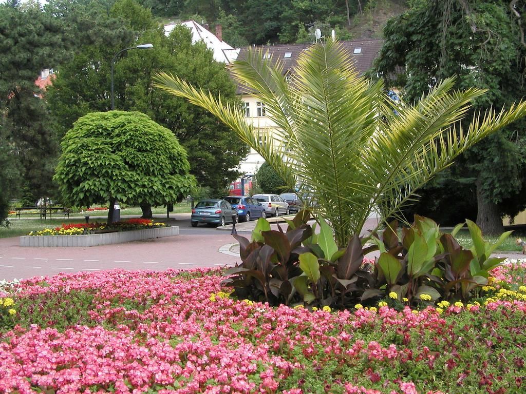 Judita фото 4