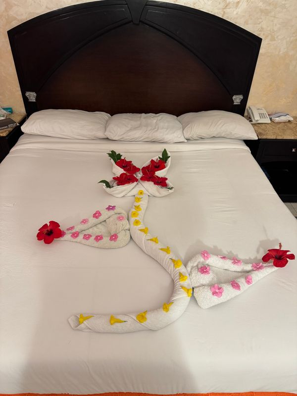 Viva Sharm Hotel фото 111