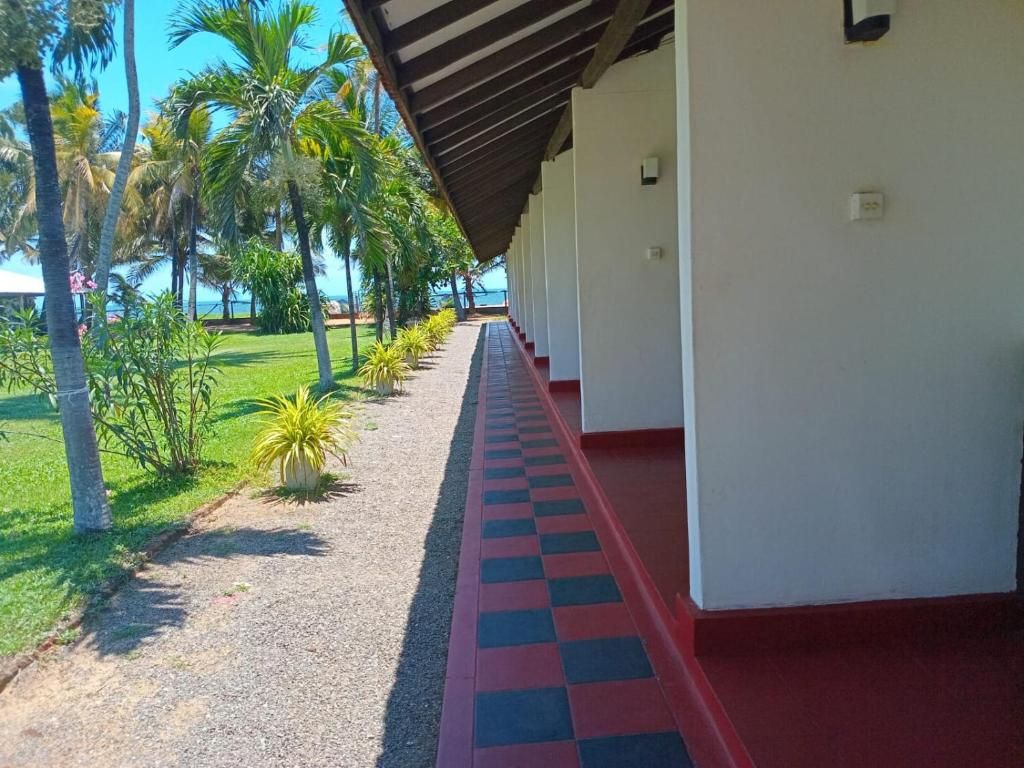 Ceylonica Beach Hotel фото 19