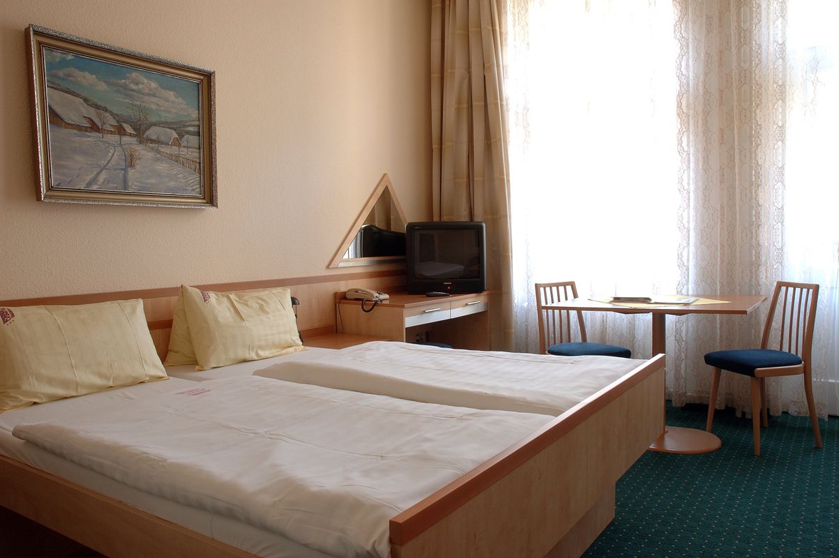 Hotel Slovan фото 5