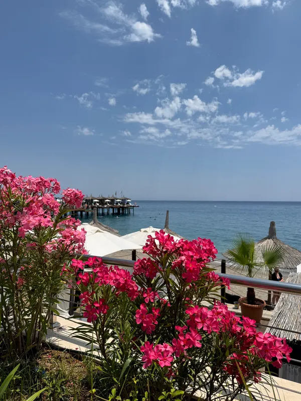 Corendon Playa Kemer фото 107