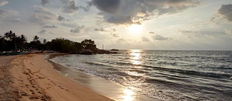 Фото отеля Aavya Cove Villas by Aahaasa