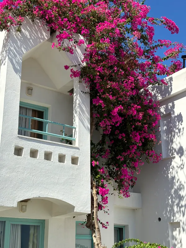 Afytos Bodrum фото 41