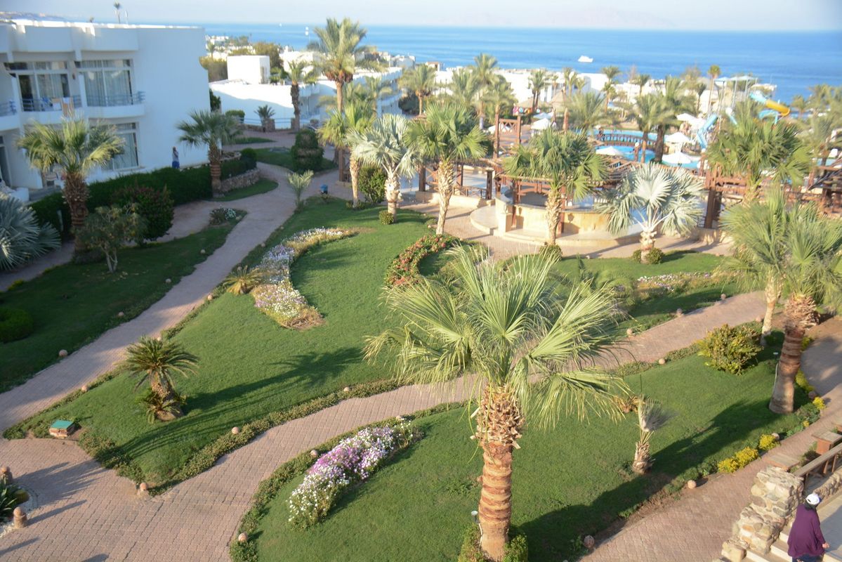 Queen Sharm Resort View фото 22