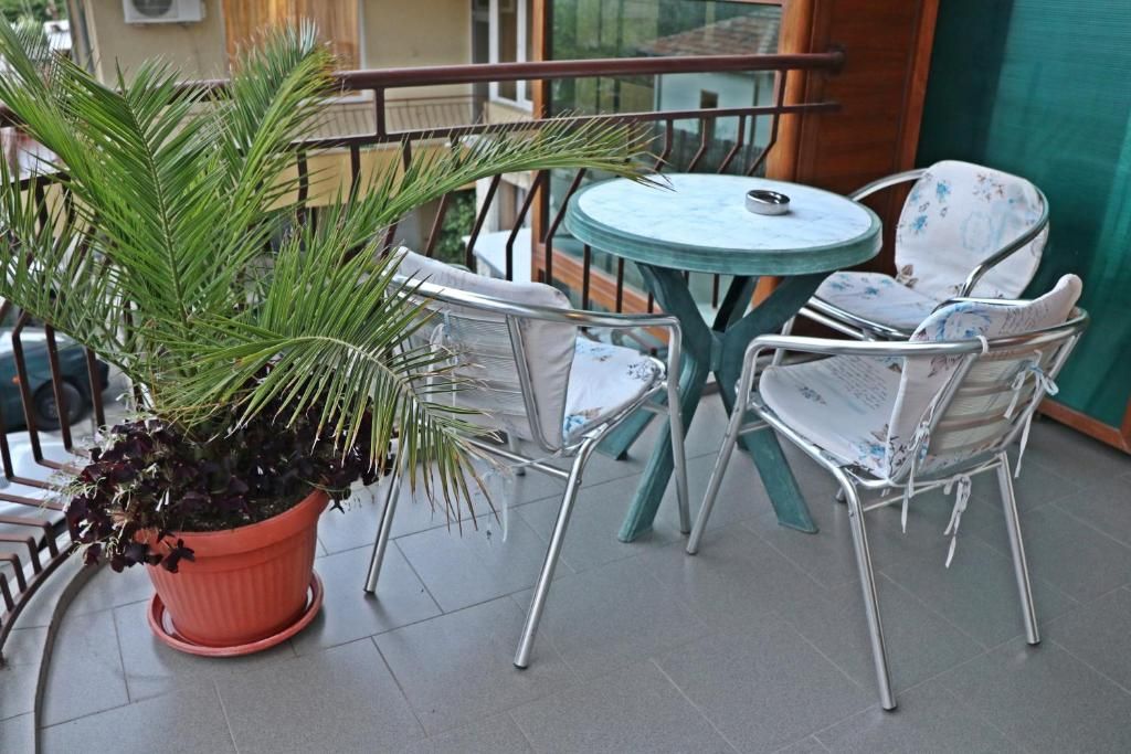 Гостевой дом «Kostadinovi Guest House» фото 5