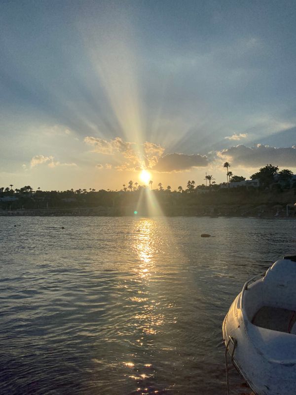 Domina Coral Bay Harem Deluxe фото 108
