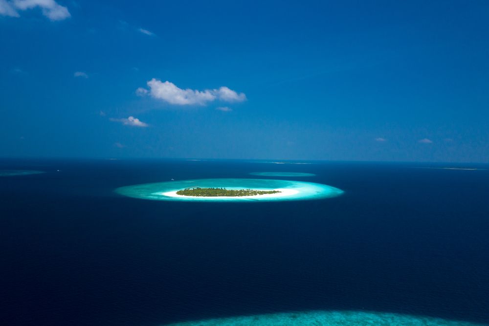 JA Manafaru фото 35