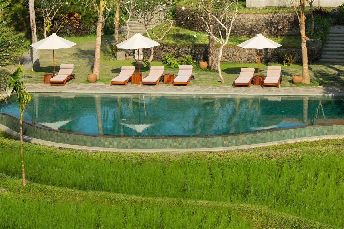 Alaya Resort Ubud фото 6