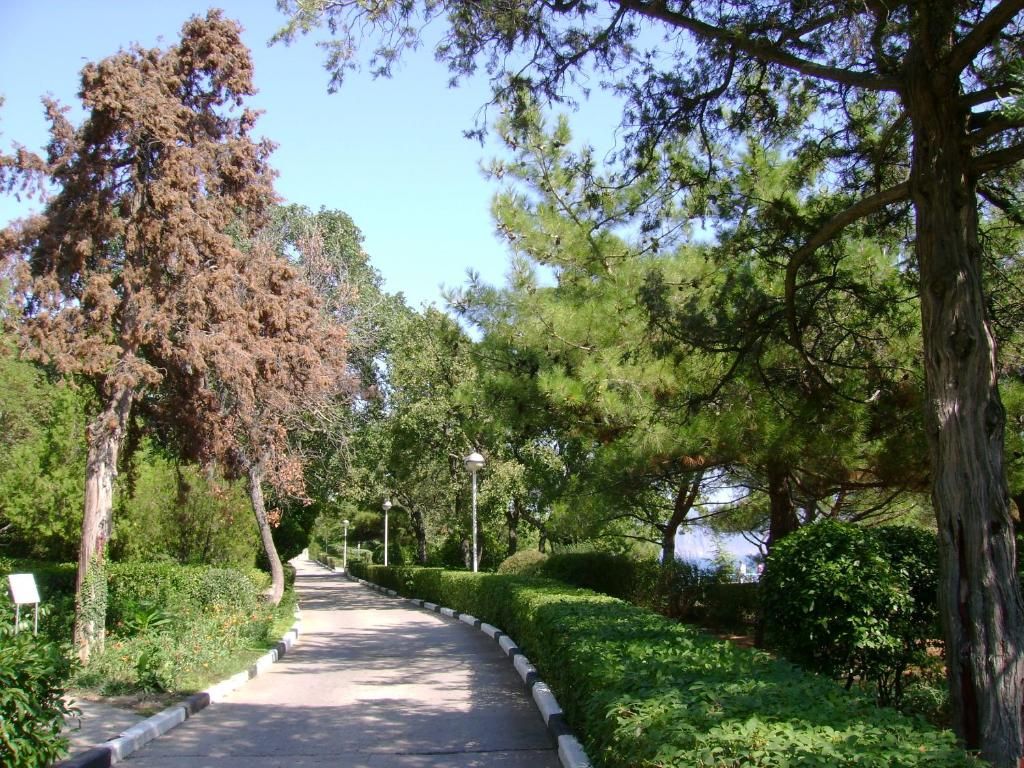 Гостиница «Вилла Мишель» фото 10