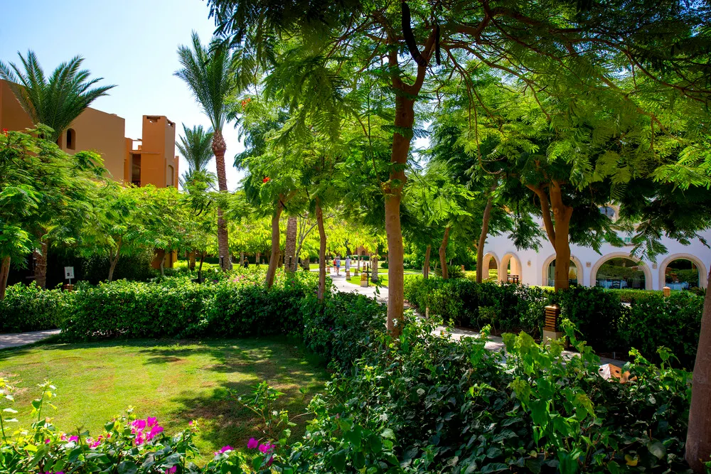 Stella Beach Resort & Spa фото 123