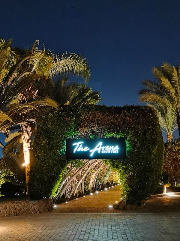 Fort Arabesque Resort, Spa & Villas фото 54