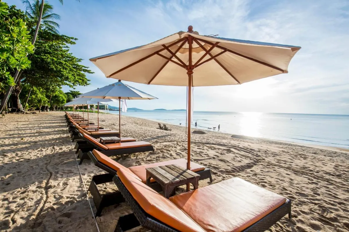 New Star Beach Resort фото 15