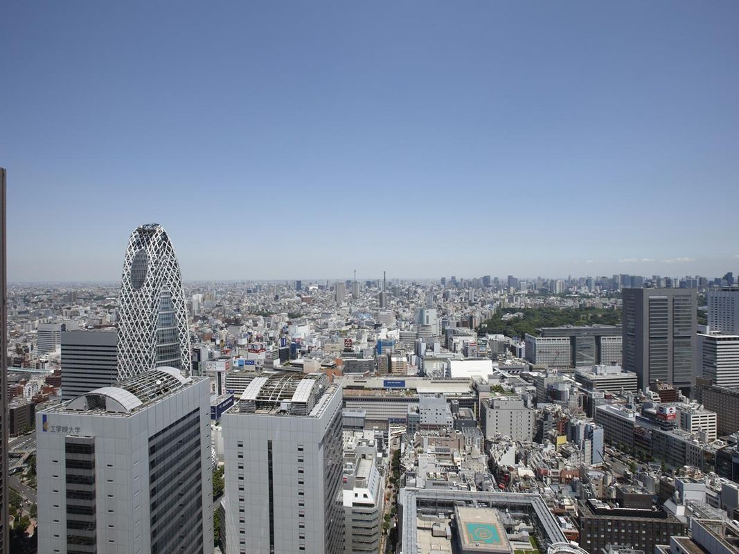 Keio Plaza Hotel Tokyo фото 18