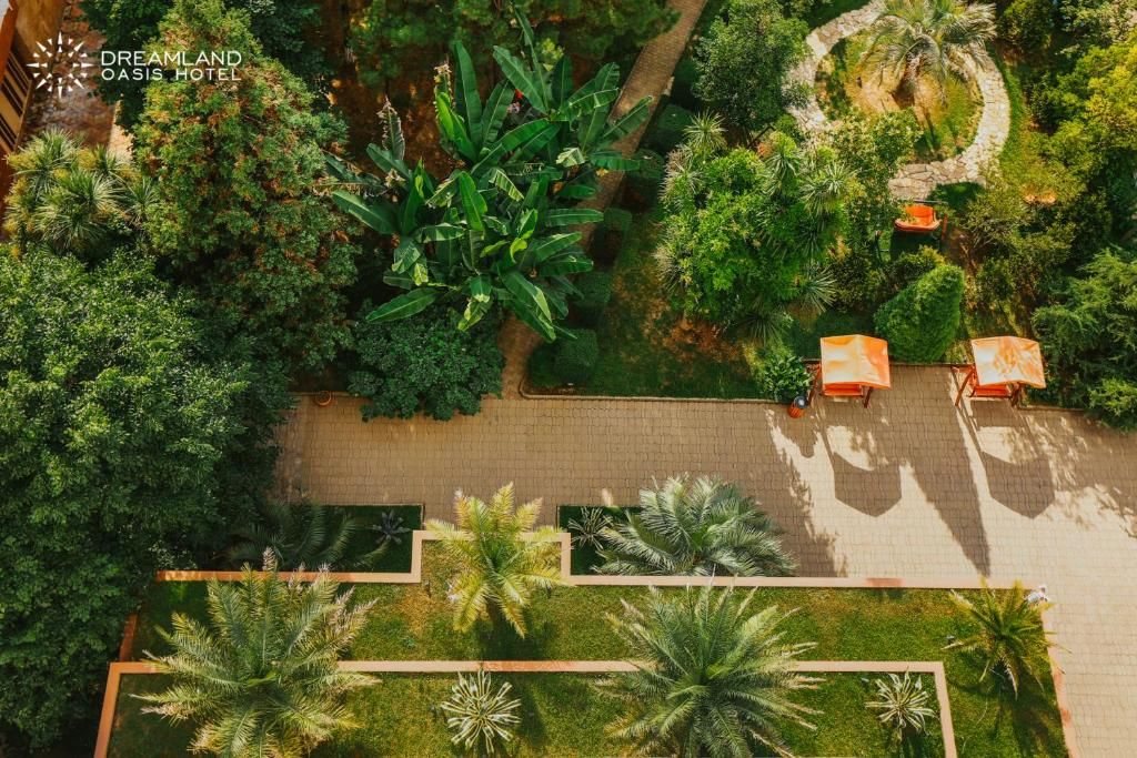 Dreamland Oasis фото 64