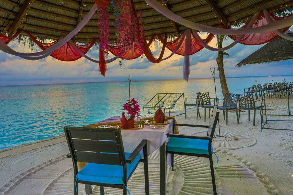 Guest House ««Plumeria Maldives» Guest House» фото 96