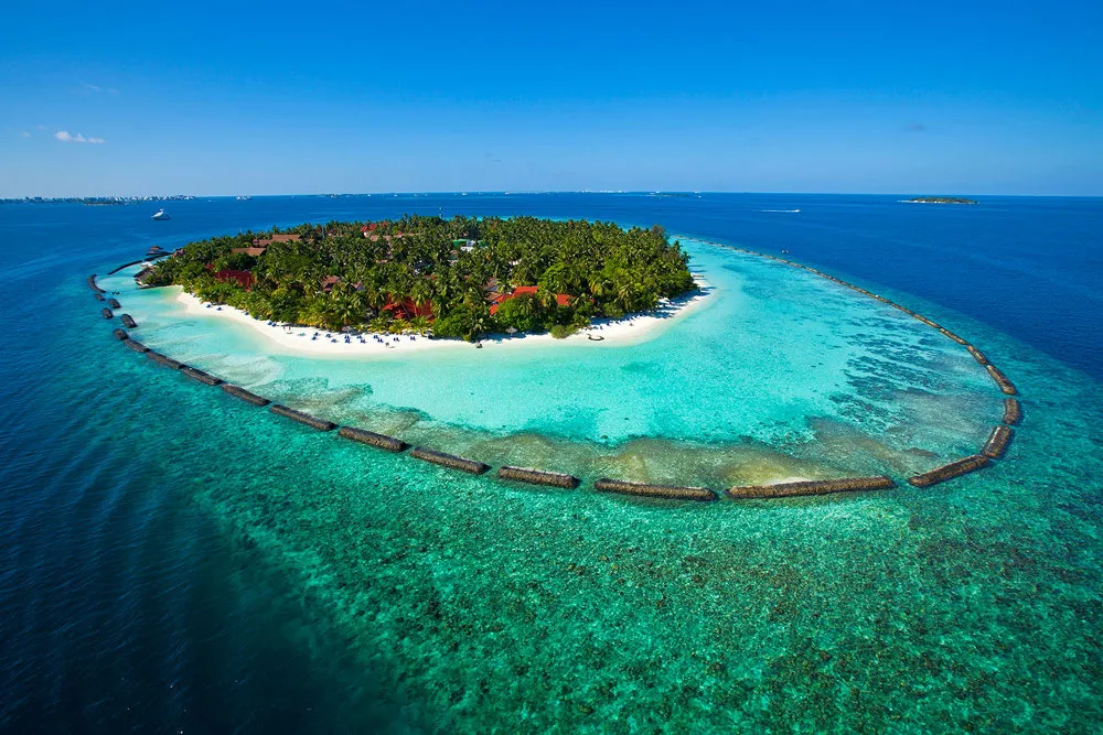 Niva Kurumba Maldives фото 2