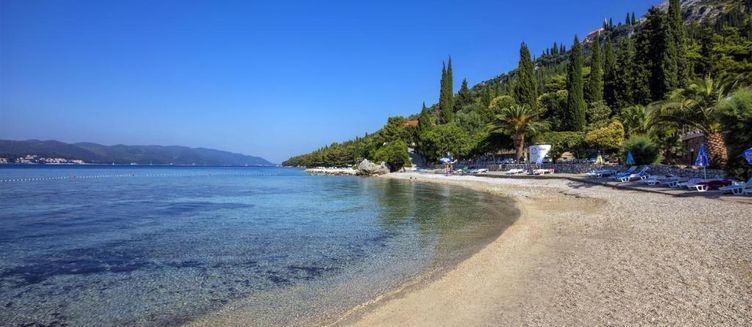 Фото отеля Hotel Orsan