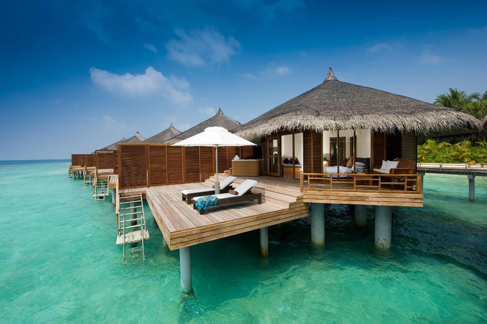 Niva Kuramathi Maldives фото 148