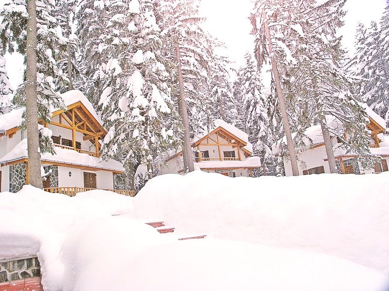 Saint George Borovets Hotel фото 13