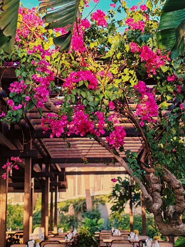 Barut Goia фото 72