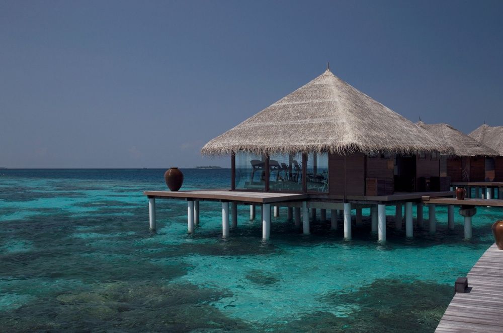 Coco Bodu Hithi фото 37