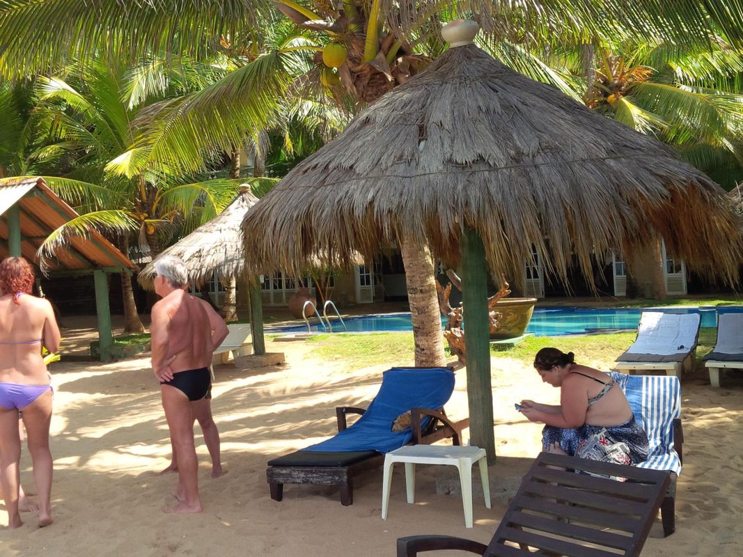 Royal Beach Resort фото 4