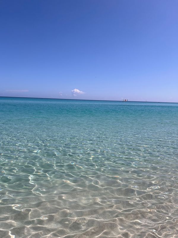 Melia Varadero фото 78
